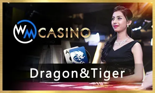 taya365 Online Bingo Trends